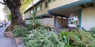 917 San Anselmo Avenue Gallery 1