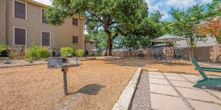 Bouldin Creek Gallery 44