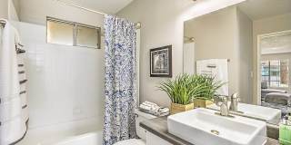 The Grove Gallery 24