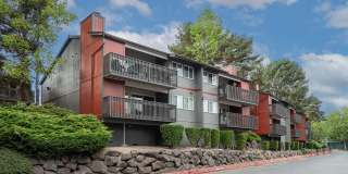 Alder Bellevue Gallery 28