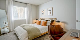 Treehouse Apartments Gallery 13