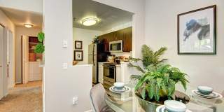 Signature Pointe Gallery 14