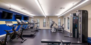 The View at Old City Gallery 26