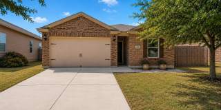 12162 Luckey VW Gallery 1