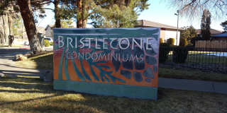 NEWLY UPGRADED - ONLY $1,775 PER MONTH FOR THIS 2 BEDROOM /2 BATHROOM TOWNHOME LOCATED AT BRISTLECONE IN SPARKS NEWLY UPGRADED - ONLY $1,775 PER MONTH FOR THIS 2 BEDROOM /2 BATHROOM TOWNHOME LOCATED AT BRISTLECONE IN SPARKS Gallery 1
