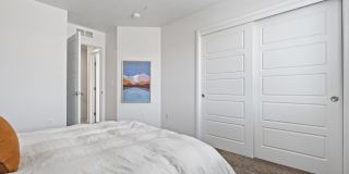 Amazon Falls Gallery 21