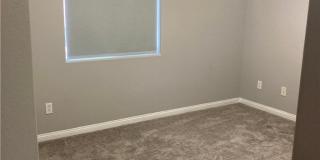 7020 Albatross Attic Street Gallery 25