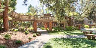 The Meadows Apartment Homes Gallery 17