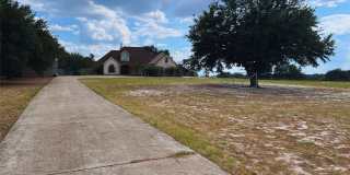 23211 Fm 1995 Gallery 1
