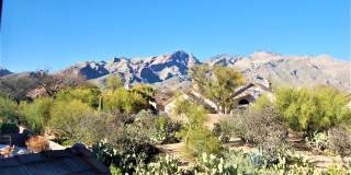 4049 East Via Del Mirlillo Gallery 32