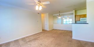 2 Bed 2 Bath 2nd Floor Condo (Palms of Cortez) Gallery 6