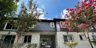 4066 Coco Ave Properties LLC Gallery 1