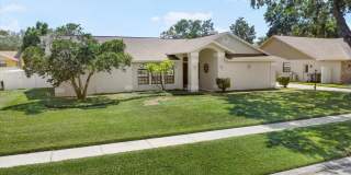 Valrico Pool Home large fence back yard Gallery 15