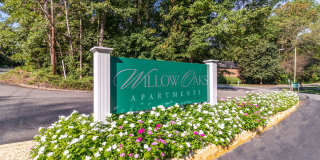 Willow Oaks Gallery 46