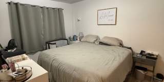 2 bed 1 bath in great location Gallery 6