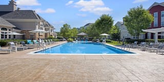 The Grove Somerset Gallery 25