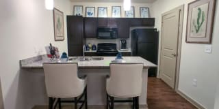 Anatole on MacArthur Gallery 8