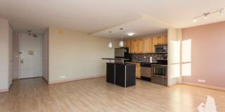 655 W Irving Park Gallery 3
