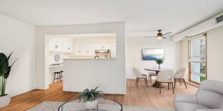 Wayzata Woods Gallery 2