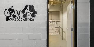 1627 on the Strip Gallery 54