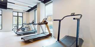 Cavalier at the Crosswalks Gallery 14