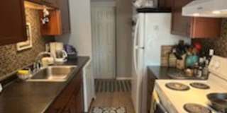 1 Bedroom Condo in Hopkins Gallery 9