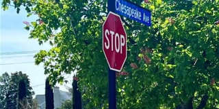 1501 Chesapeake Avenue Gallery 4