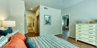 Galleria Palms Gallery 6