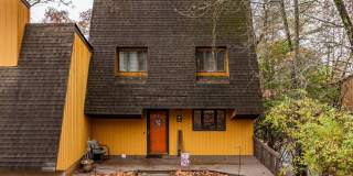 313 Autumn Chase Gallery 1