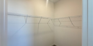 1513 Bat Hawk Street Gallery 4