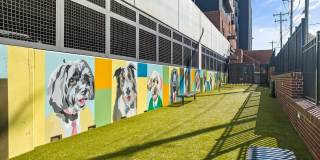 The Artreaux Apartments and Townhomes Gallery 43