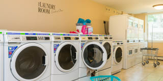 Parkwood Pointe Gallery 31