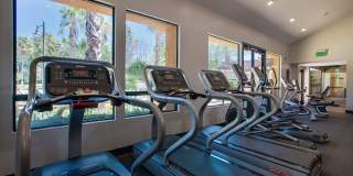 Malibu Canyon Apartments Gallery 18