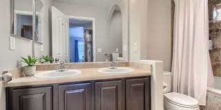 Highlands Ranch Spacious 3 bed 2.5 bath Gallery 31