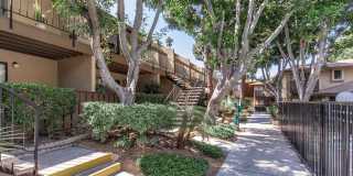 Palm Lane Apartment Homes Gallery 2