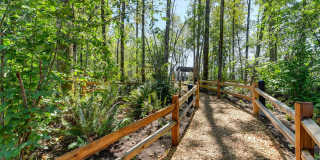 Avaya Ridge Gallery 35