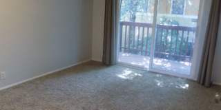 Winter Special-$500 Off-Spacious Three Bedroom, One & half Bathroom Townhouse Condo! Gallery 12
