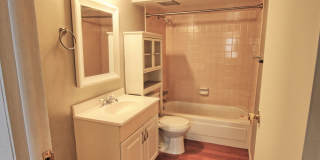 3 bed 2 bath Wash Park home Gallery 10