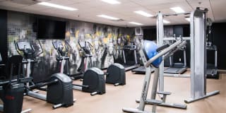 Ambassador Gallery 14