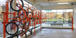 The Arbory Gallery 18