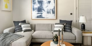 Asher Gallery 25