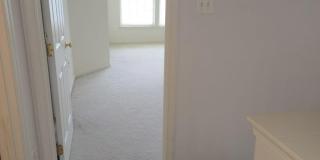 6645 MCGRATH Place Gallery 17
