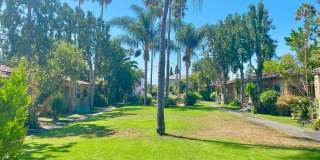 5225 De Longpre Ave. Gallery 39