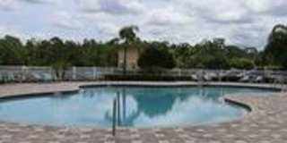 Home is in the Heart of New Tampa Gallery 21