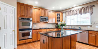 22250 Waterberry Terrace Gallery 10