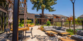 Peartree Apartments Gallery 12