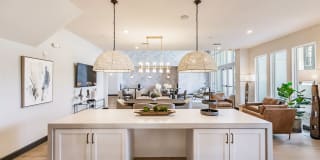 The Harrison Gallery 11