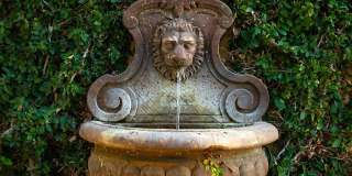 730 Stratford Ct Gallery 19