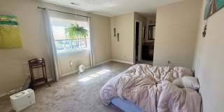 Spacious, Sunlit 3BR / 2 BA Condo just steps away from Standley Lake! Gallery 12