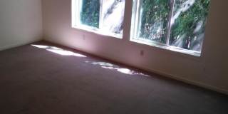 (560) 21st Street Duplex - 2 Bedroom / 2 Bathroom Gallery 5